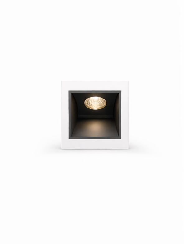 Luxignus Concealed Box Downlight