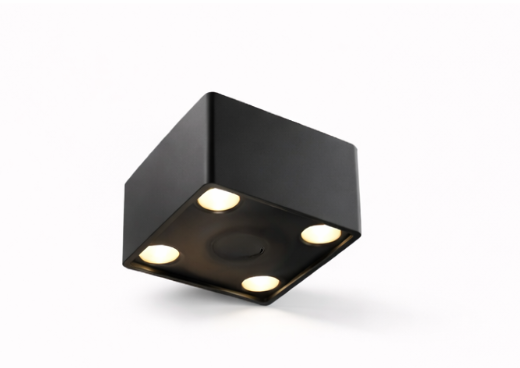 Luxignus 4 Way Up Down Light