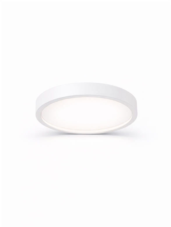 Luxignus Rimless Surface Downlight