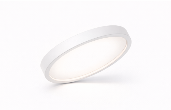 Luxignus Rimless Surface Downlight